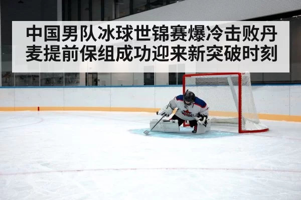 ice hockey goaltender save